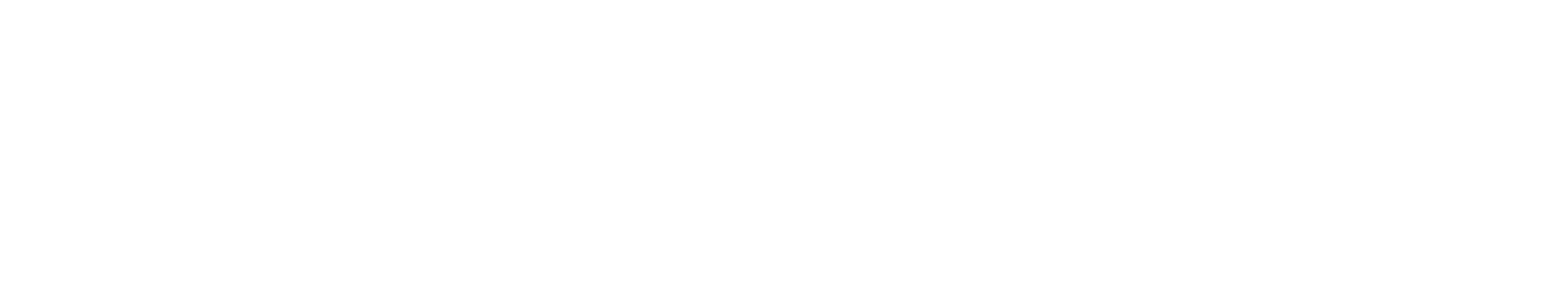 Zafer Partisi İstanbul